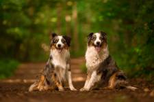 Guillaume CLAMAGIRAND - CG PHOTOGRAPHIE