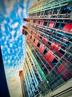 David GRUAU - BEL AIR AGENCY