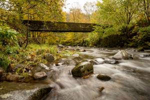 BARRIERES FRANCK - FRANCK BARRIERES PHOTOGRAPHE