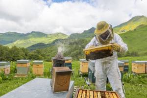 Jérémy DUCROT - BOUGNAT PHOTOS